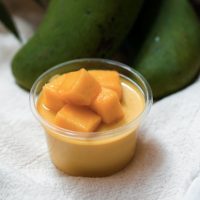 frozen mango yogurt